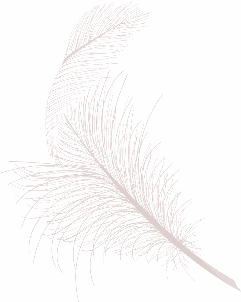 Anne feather